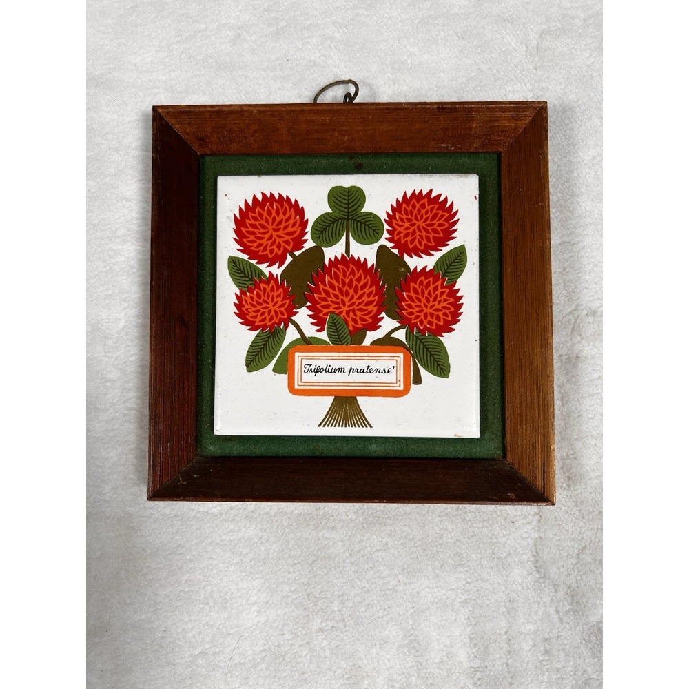 Vintage Framed Ceramic Tile Red Clover Trifolium Pratense Botanical Wall Art MCM